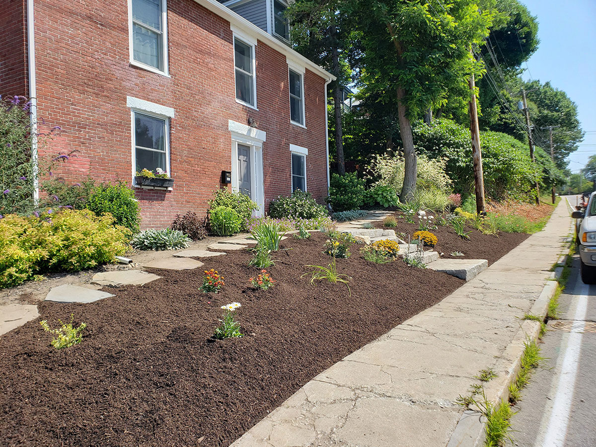 Landscape Maintenance Weed Control